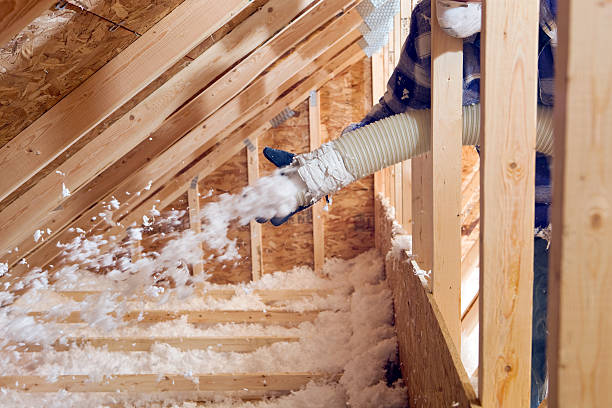 Best Commercial Insulation Services  in Bargersville, IN